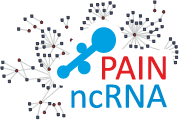 ncRNA-Pain